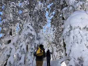 比婆山　～雪山レポート～