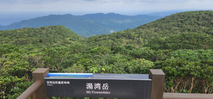 奄美大島最高峰「湯湾岳」
