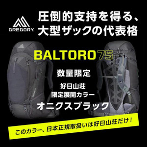 BALTORO75限定カラー入荷